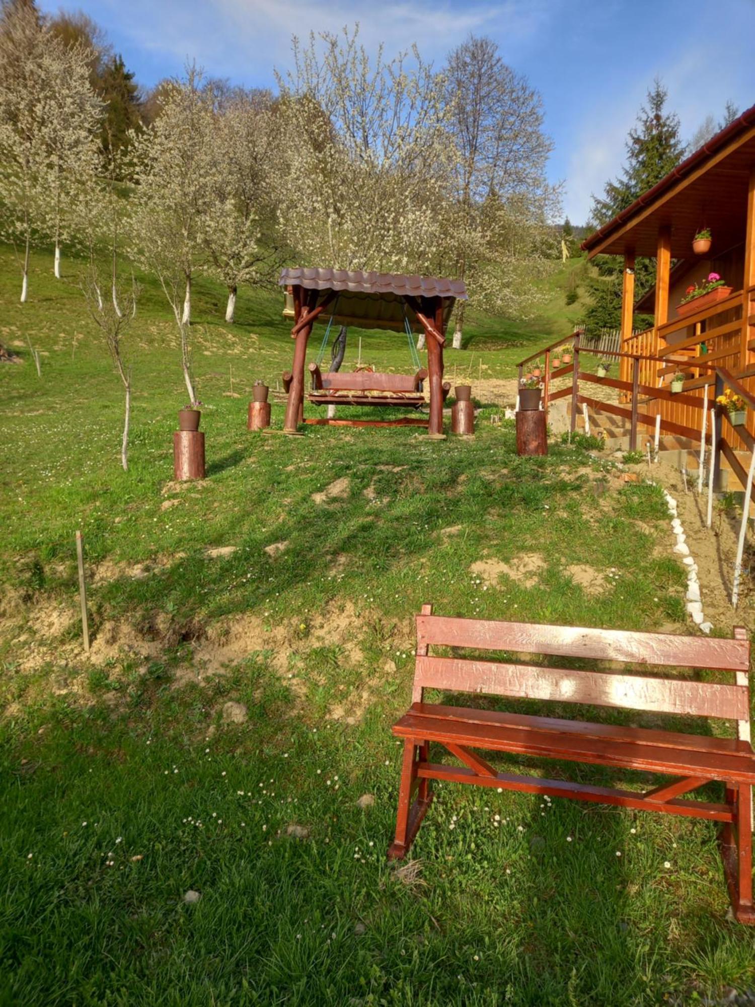 Bed and Breakfast Casa Geanina à Colibiţa Extérieur photo